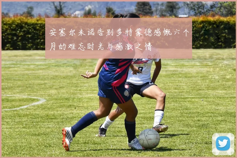 安塞尔米诺告别多特蒙德感慨六个月的难忘时光与感激之情