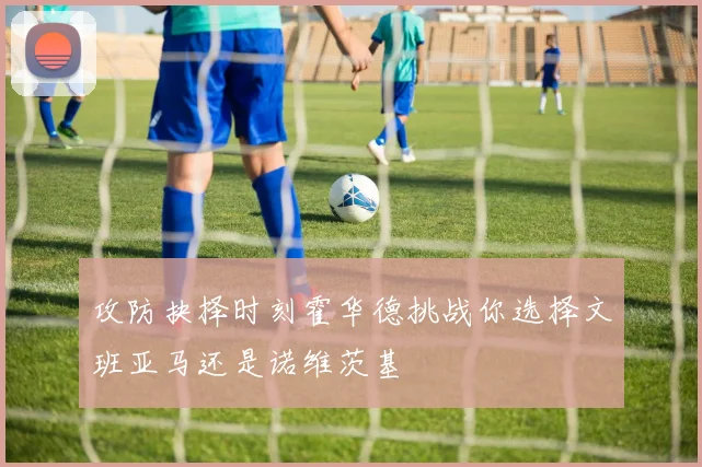 攻防抉择时刻霍华德挑战你选择文班亚马还是诺维茨基