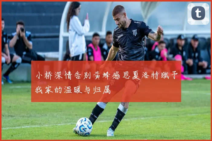 小桥深情告别黄蜂感恩夏洛特赋予我家的温暖与归属