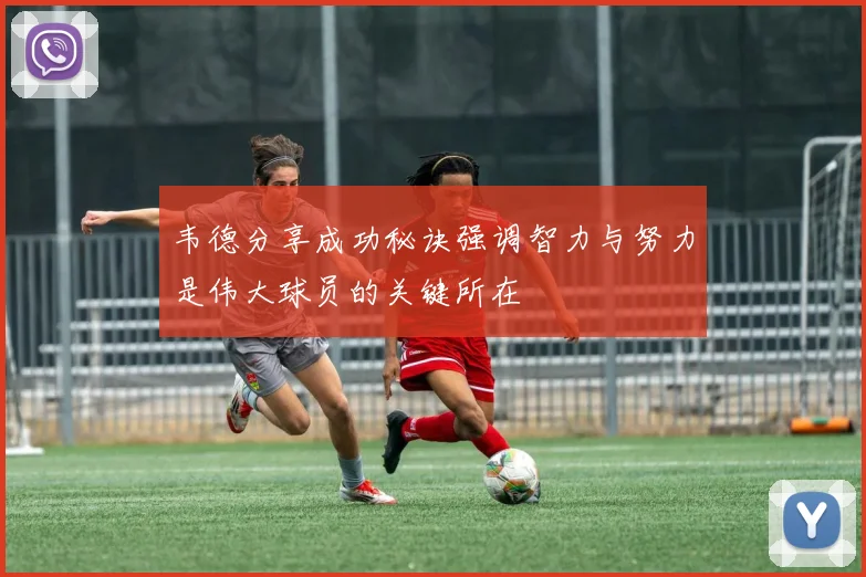 韦德分享成功秘诀强调智力与努力是伟大球员的关键所在